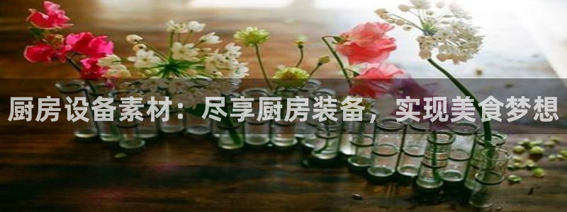 尊龙500价格：厨房设备素材：尽享厨房装备，实现美食梦想