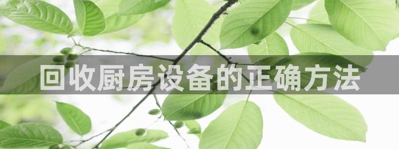 尊龙凯时人生就是搏技术实力：回收厨房设备的正确方法