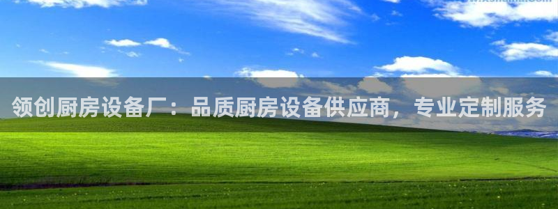 凯时kb88kb88：领创厨房设备厂：品质厨房设备供应商，专