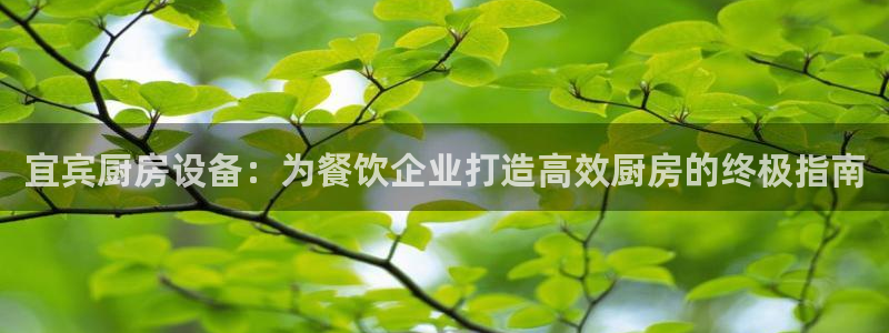 尊龙人生就是博管网：宜宾厨房设备：为餐饮企业打造高效厨房的终