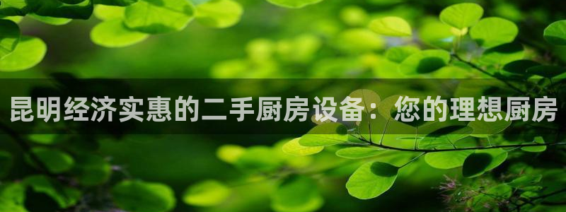 尊龙凯时人生就是博官网登录