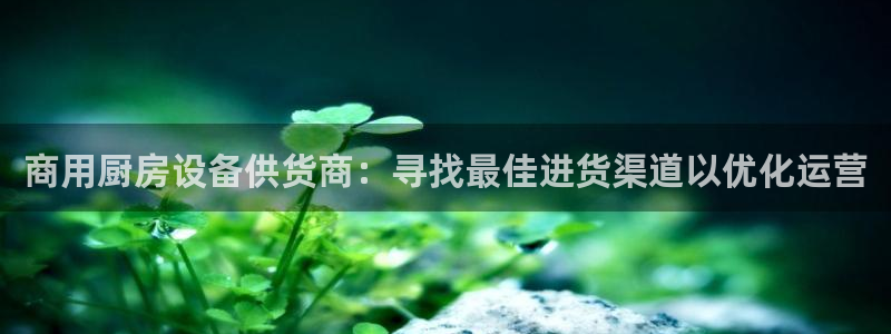 尊龙游戏app官方网站：商用厨房设备供货商：寻找最佳进货渠道