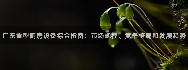 尊龙d88现金关注ag发财网：广东重型厨房设备综合指南：市场