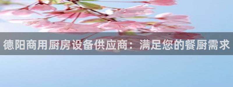 首页尊龙d88国际：德阳商用厨房设备供应商：满足您的餐厨需求